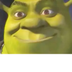 DONKEY SHREK FAN CLUB