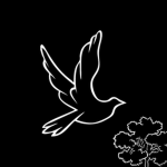 Bird's Game Lab