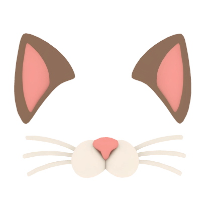 Cat Face Filter