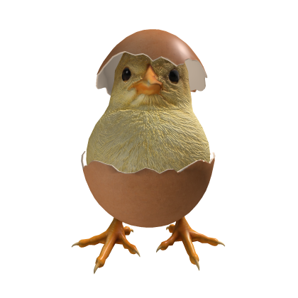 Cute Fluffy Chick Piu Piu