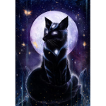 Nightfox fan club
