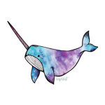 team narwhal yt