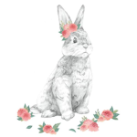 The Bunny Burrow!