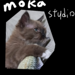 Moka studio