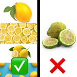 THE LEMON SQUADDD