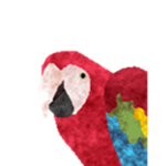 Team Parrot Exotic