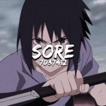 S0R3