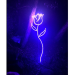 Neon Aesthetic