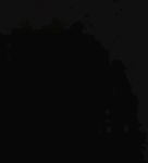 NotShadeeRobloxOfficial