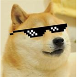 Doge.City