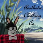 Aesthetic Clothing Co.