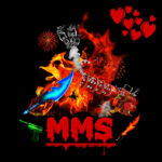 Murder Mystery Slayer's