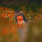 voyde