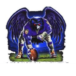 football leagues [fl]