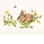 Bunny and Bee