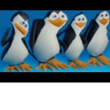 pengvenos do macarcar