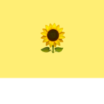 Sunflower Squad x