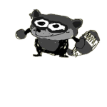 Gaze Of Raccoons