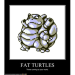 FAT Turtles United
