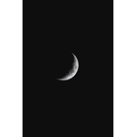 Moon Daughter's