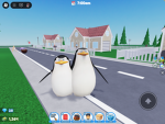 Die Pinguine aus Madagaskar