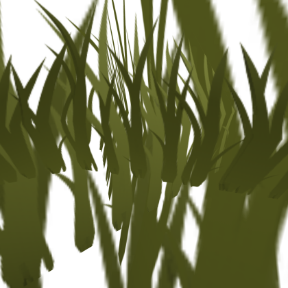 Grass