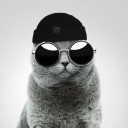 cool obby