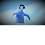 Penguins fan group78