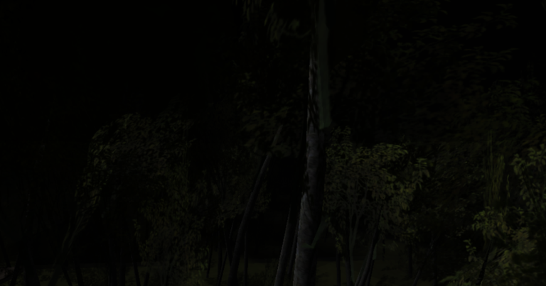 Blair Witch project screenshot 1