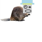 sponge 9001 fangroup