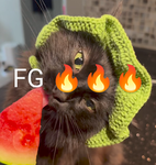 FG FRUITCLAN