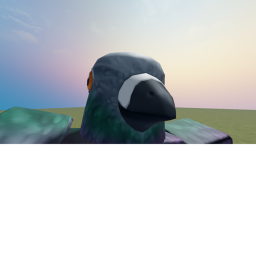 Pigeon land
