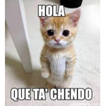 Mieow