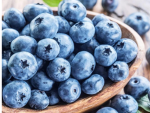 Very blue blueberry squad