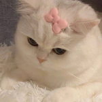 L0tu5