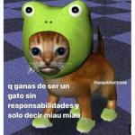 Hola qué hace UwU