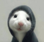 RatRat03