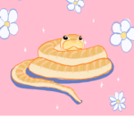 Rattlesnake Clothing