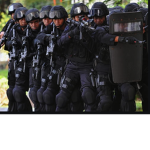 the raiding team or the playing