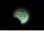 Rose blackpink