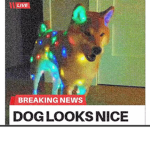Ba boi