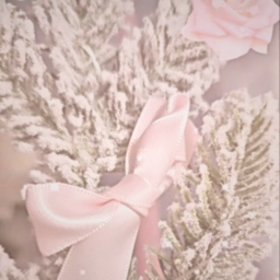 ୧ ‧ ˚ ❆ 🧁