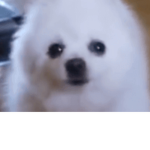 Gabe the Dog is awsome