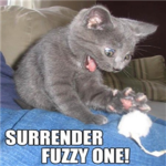 Kitty LOVERS fan Club L.O.V.E.R.S.:3