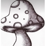 The mushroom group lol