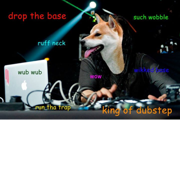Doggo's DJ Club