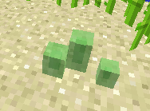 Escape the rainbow obby