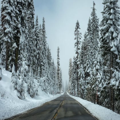 Scenery picture with snowy tree Roblox decal