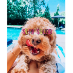 xSlayxSquadx
