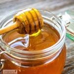 Honey Catchers